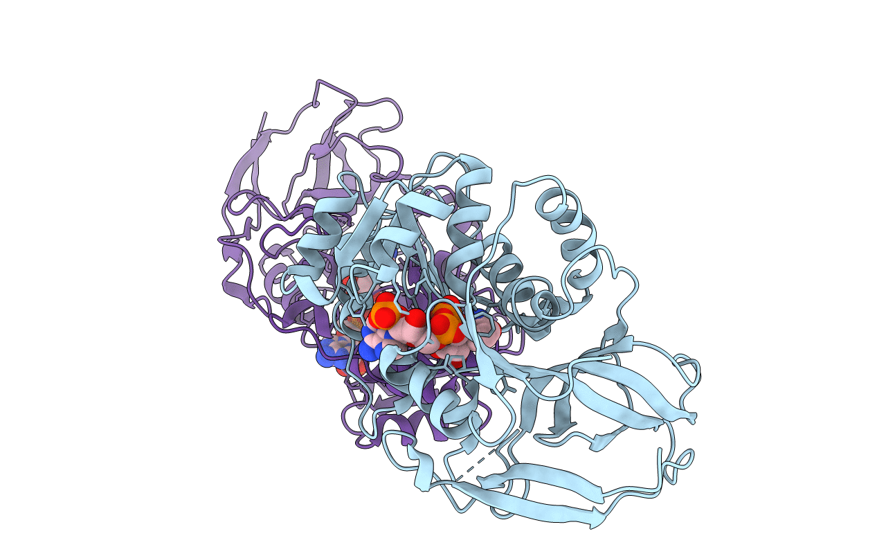 2J3I image