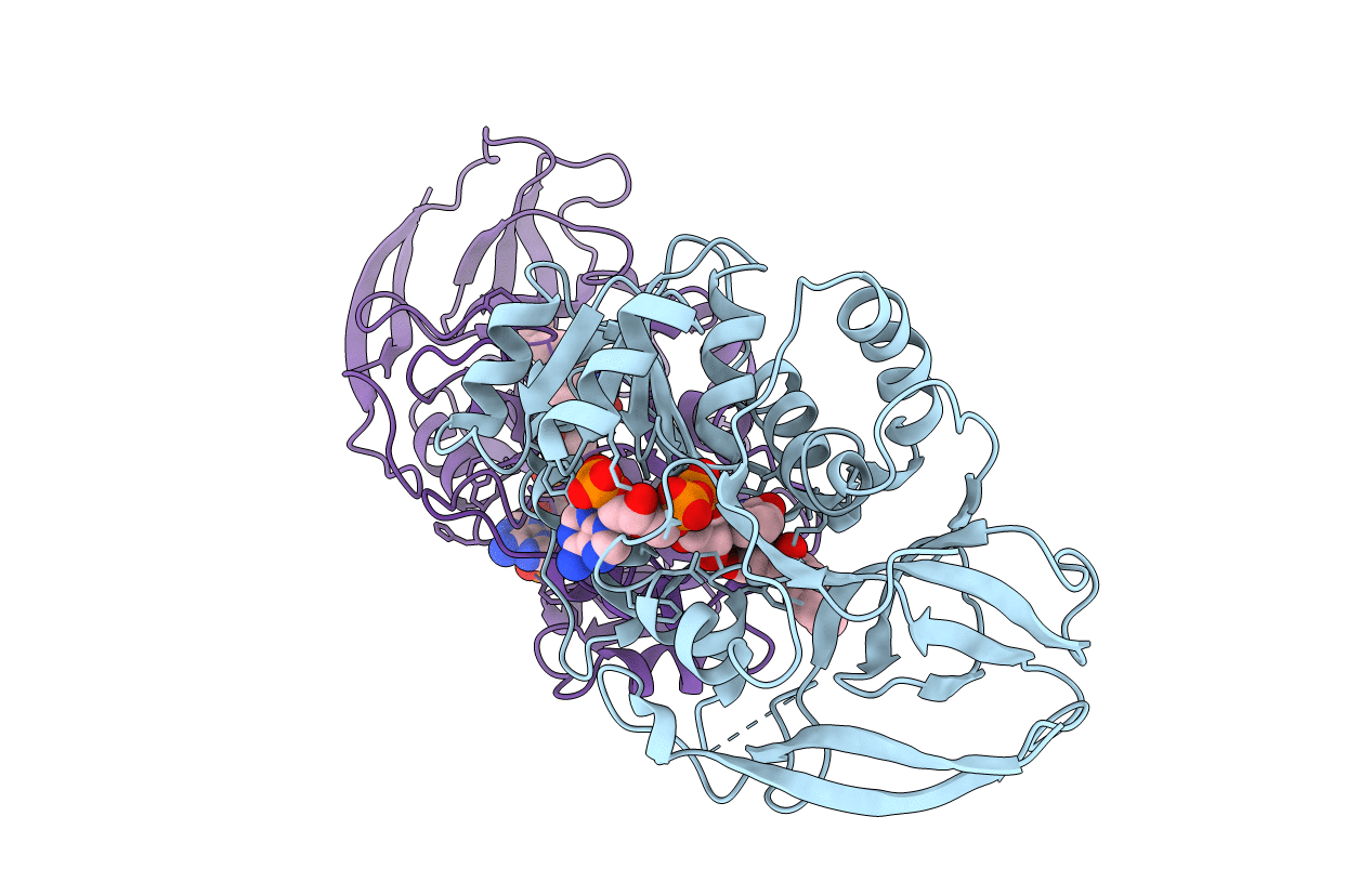 2J3K image