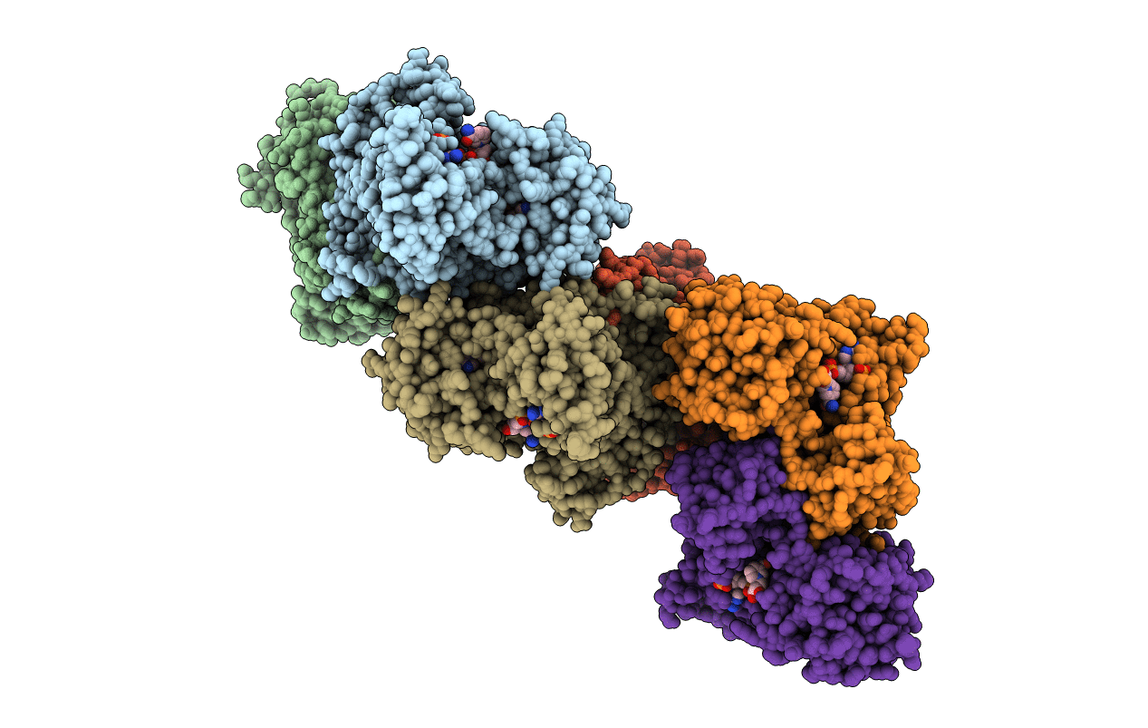 2J3N image