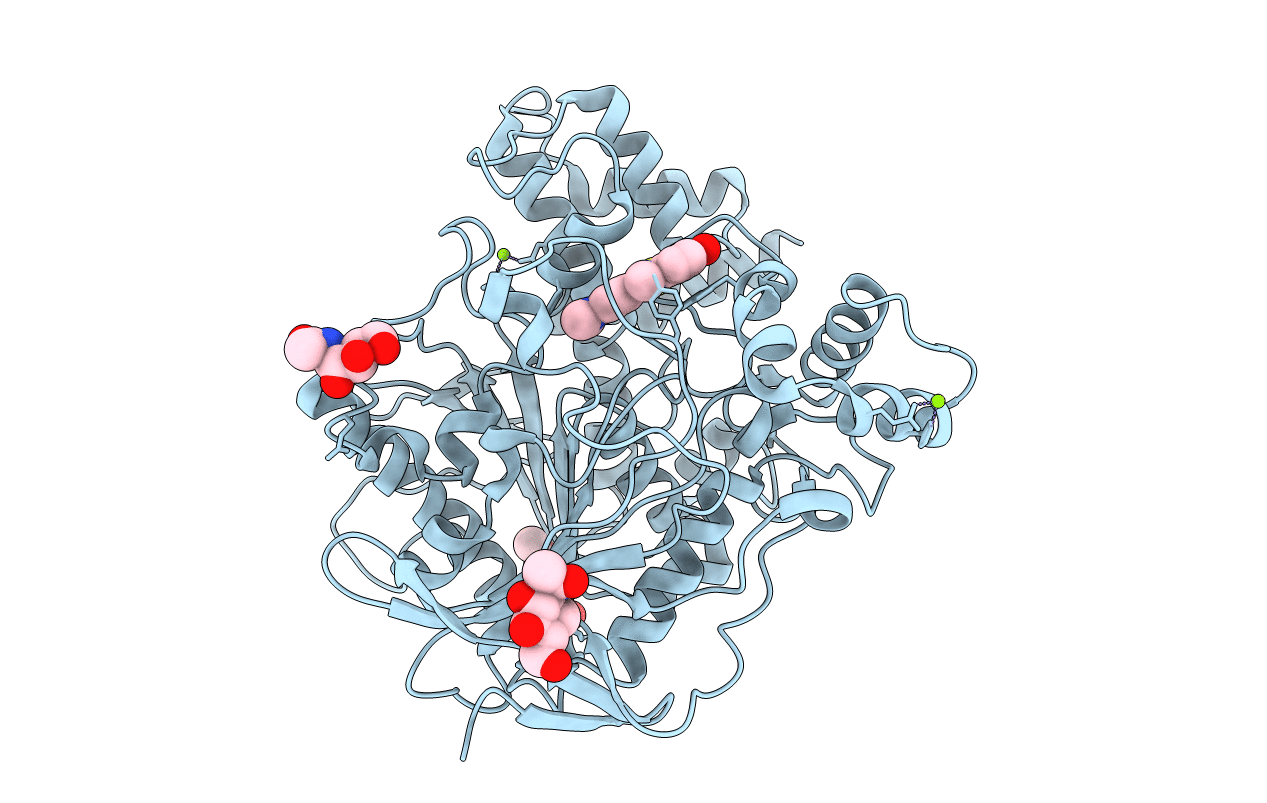 2J3Q image