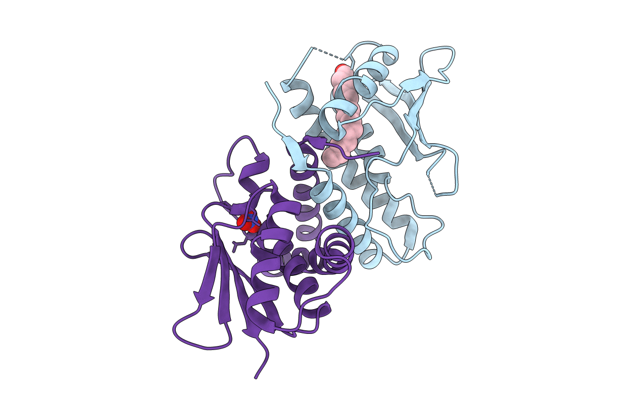 2J3R image