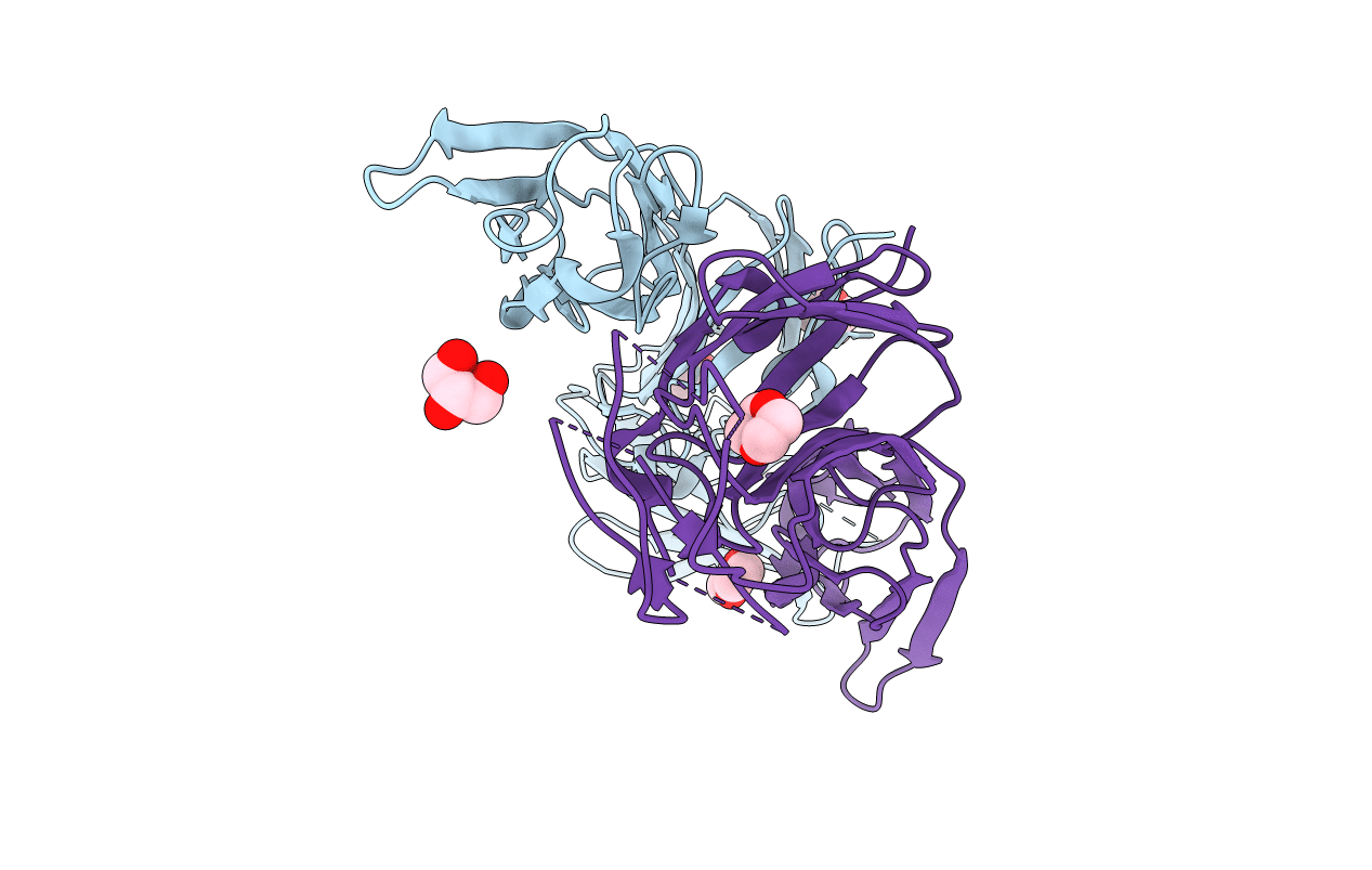 2J3S image