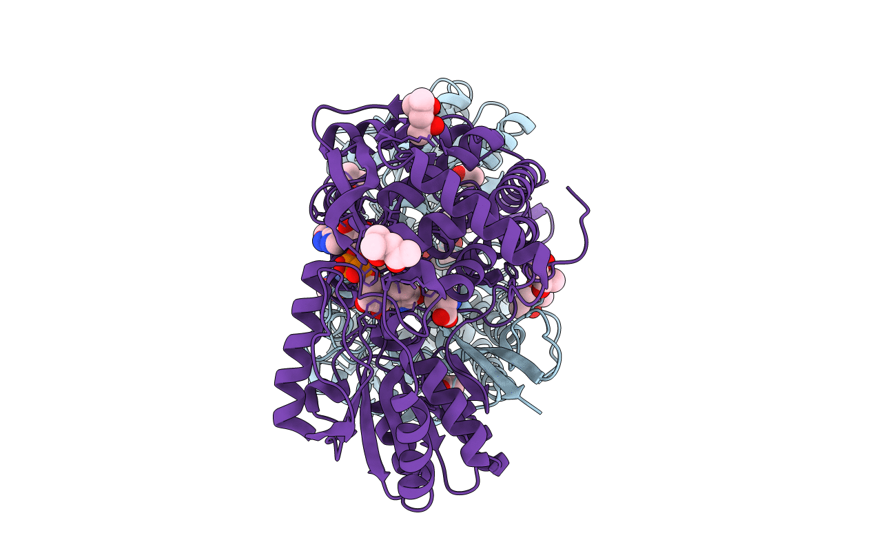 2J40 image