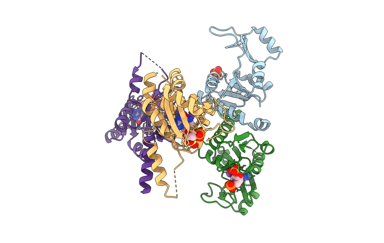 2J41 image