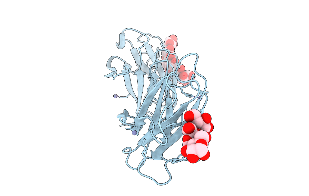 2J44 image