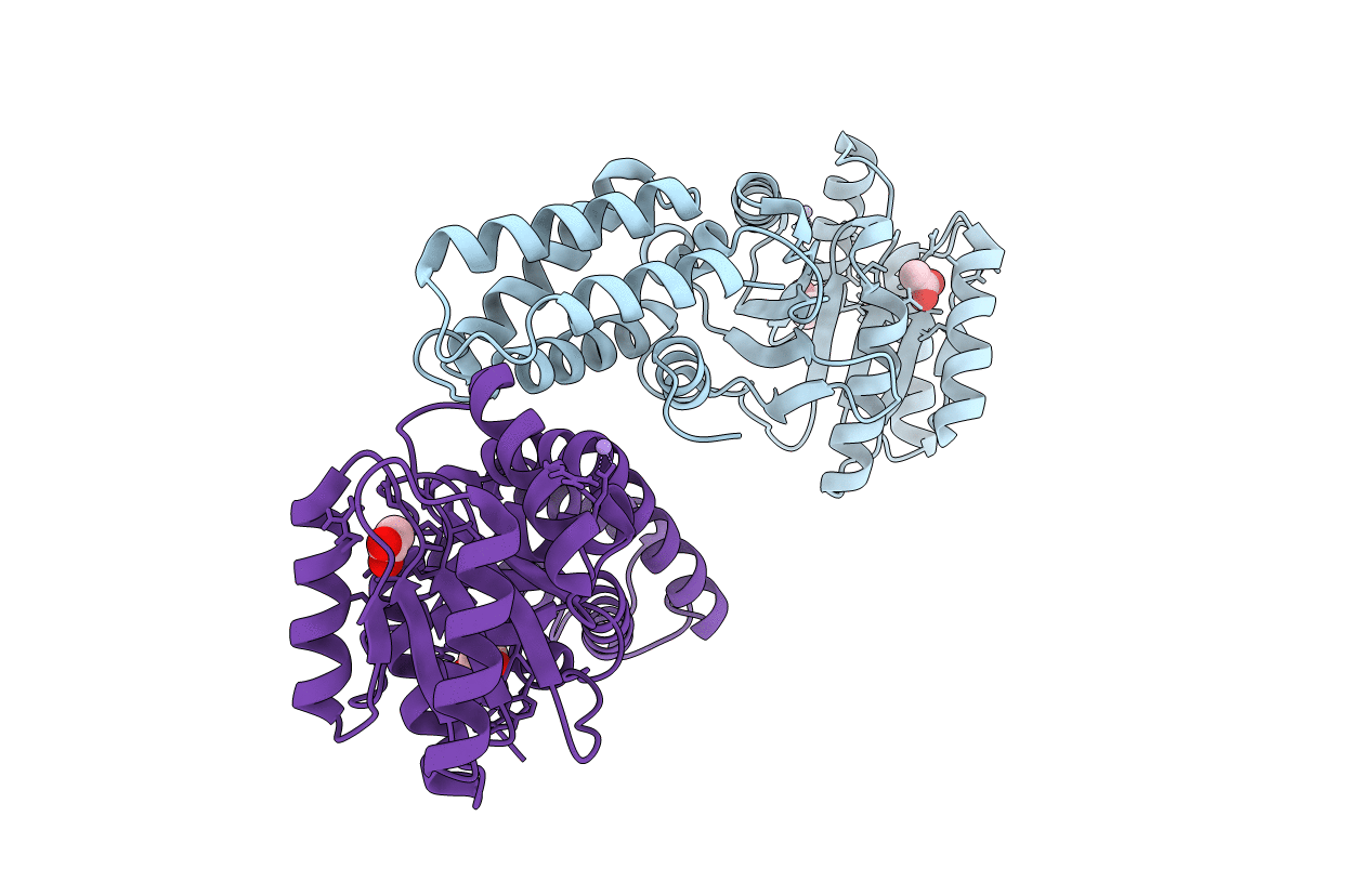 2J46 image