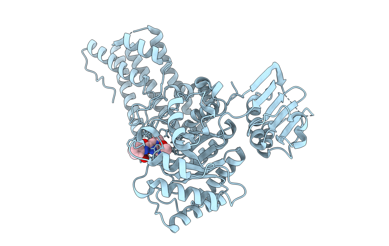 2J47 image