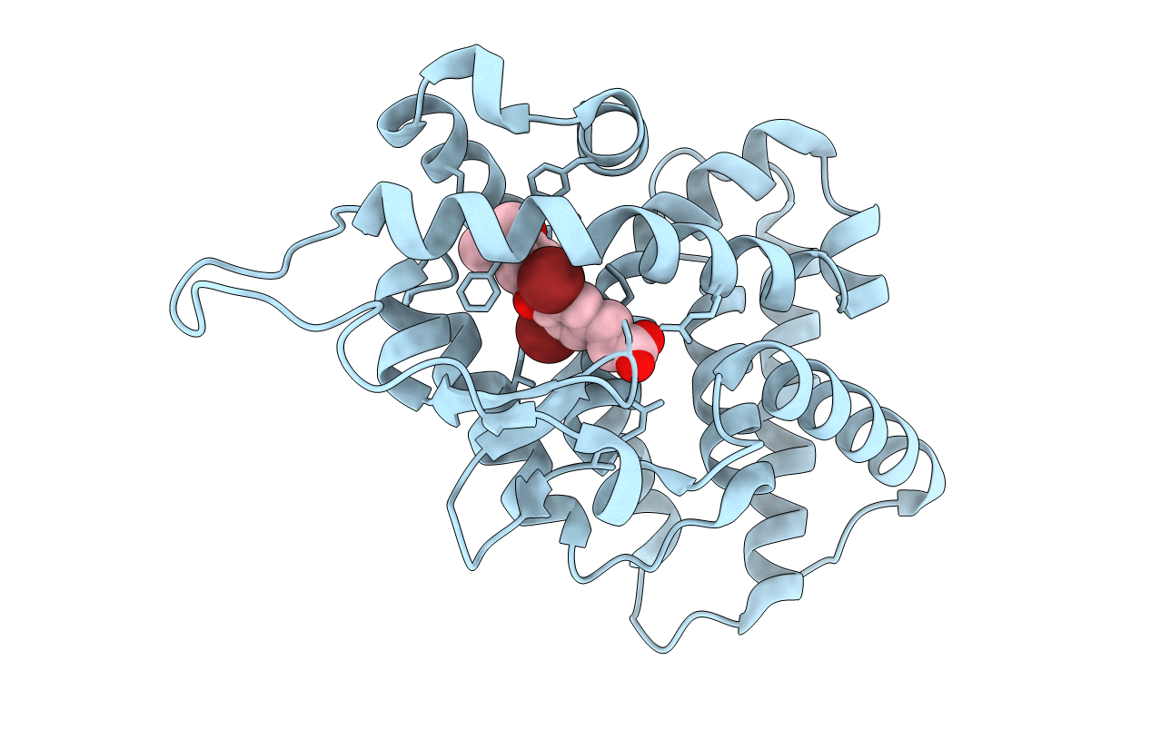 2J4A image