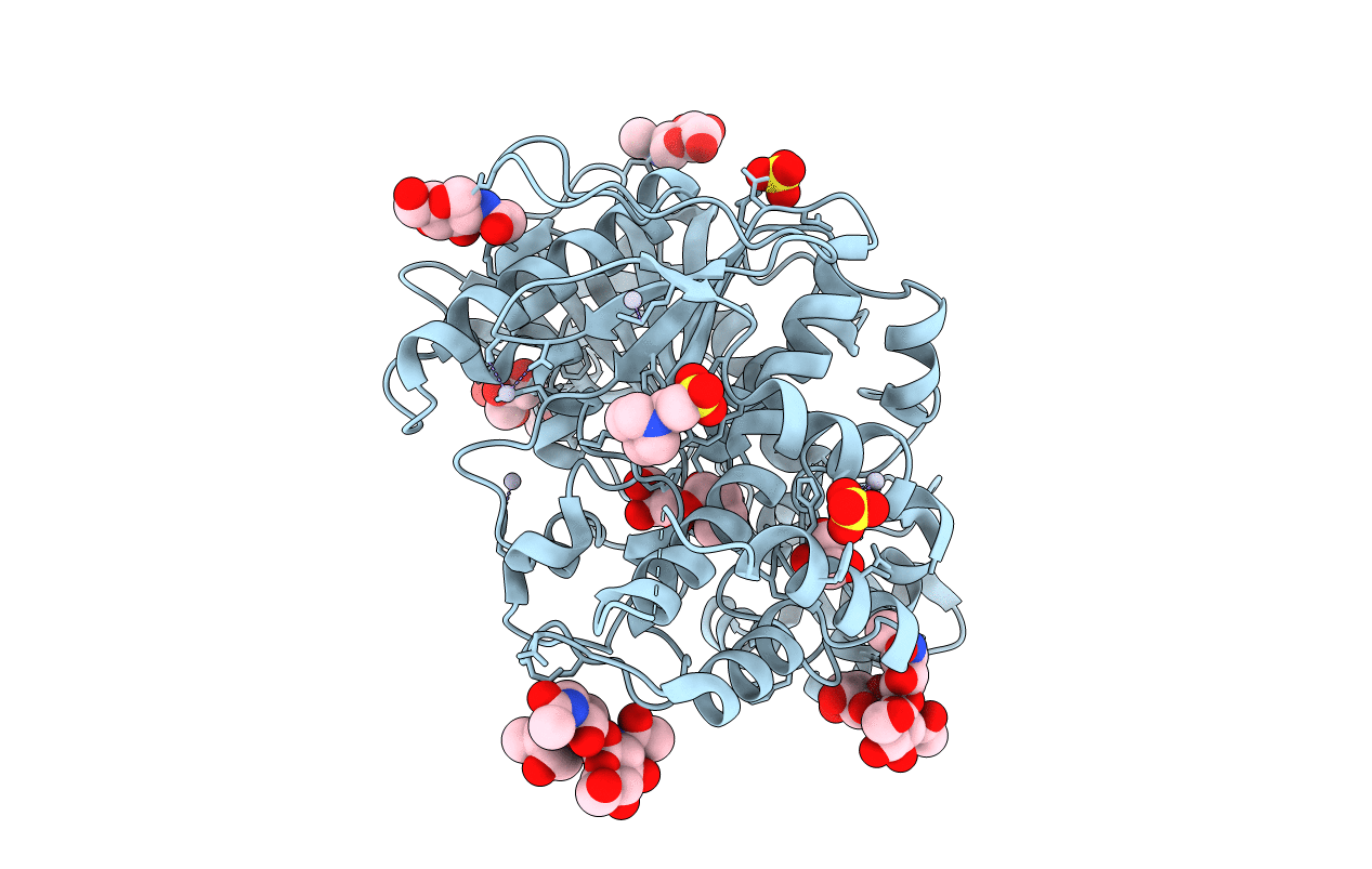 2J4C image