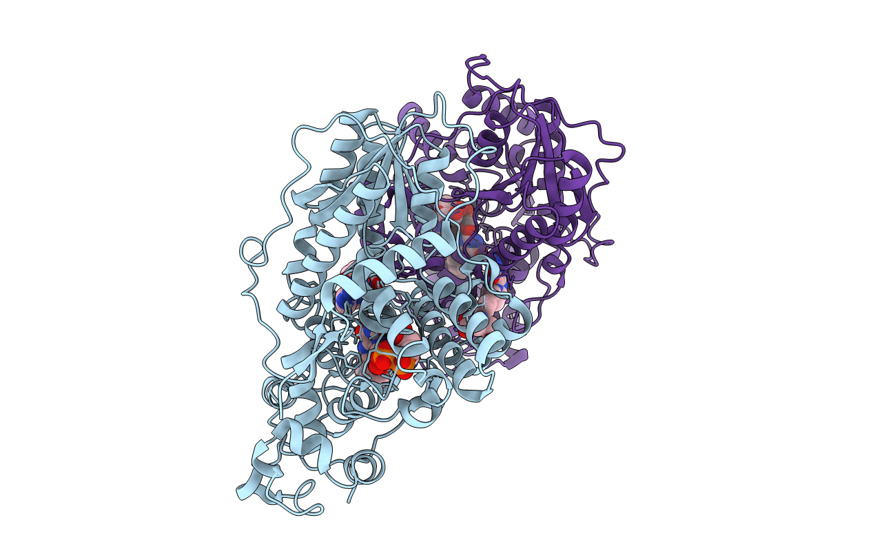 2J4D image