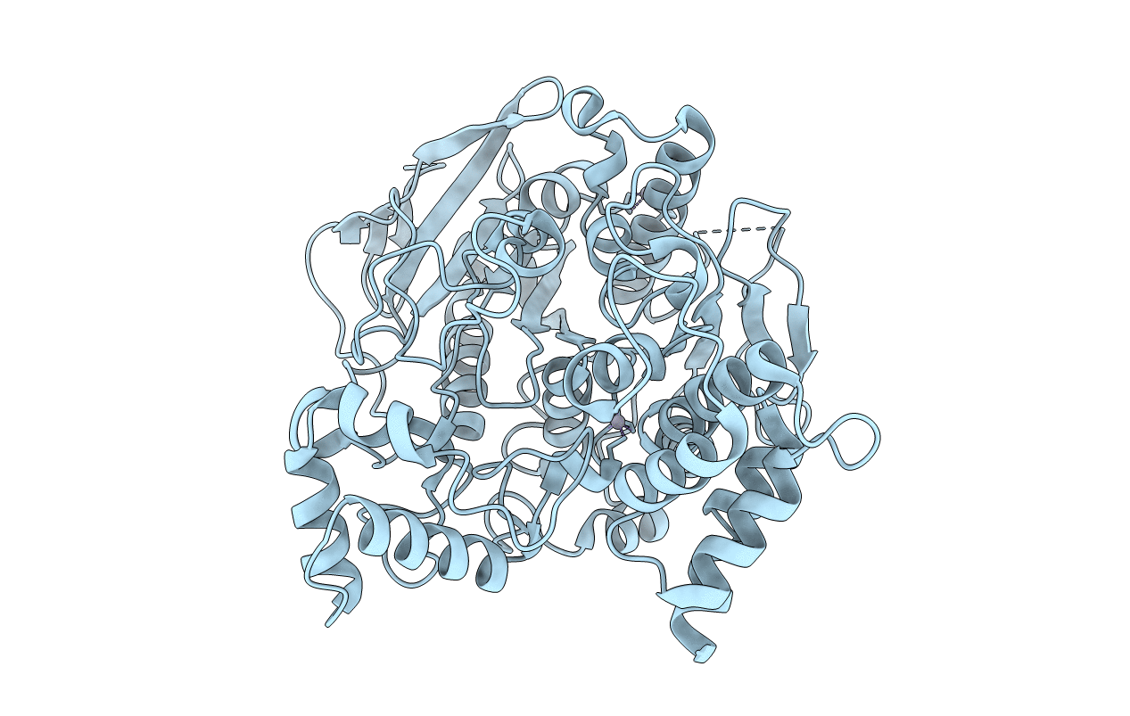 2J4F image