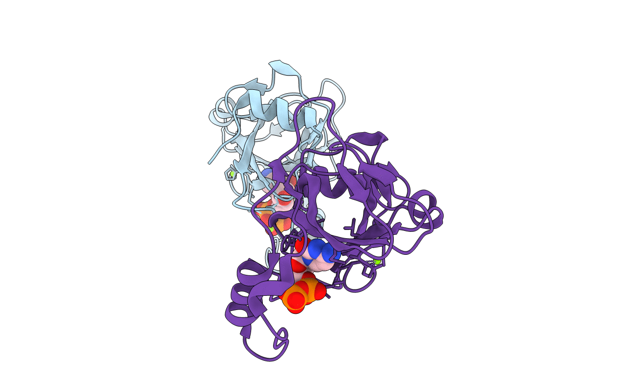 2J4H image