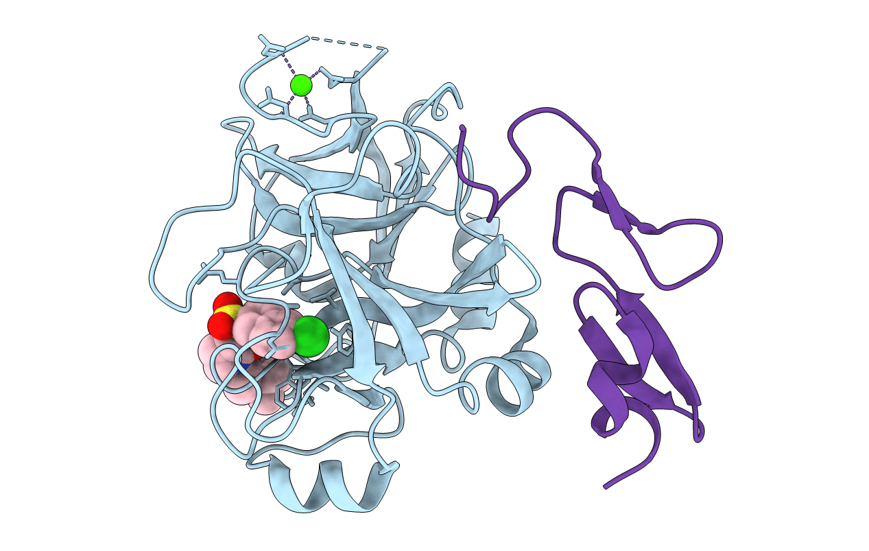 2J4I image