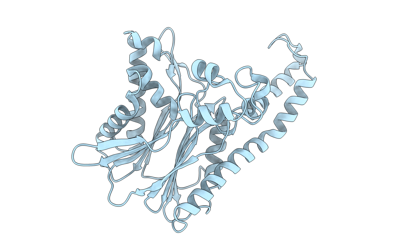 2J4O image