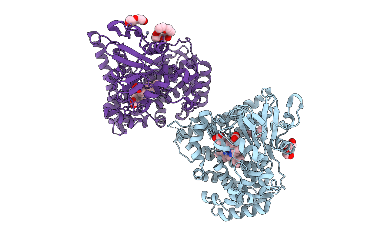 2J4S image