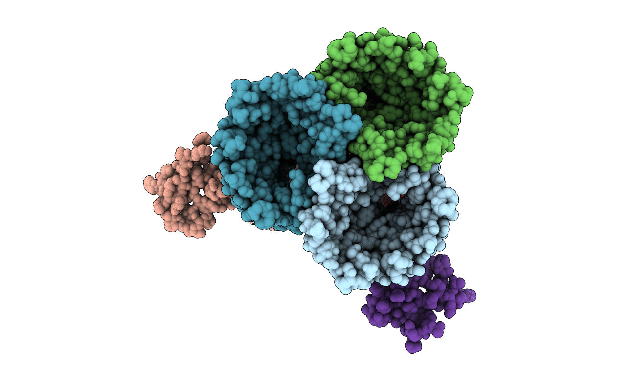2J4U image