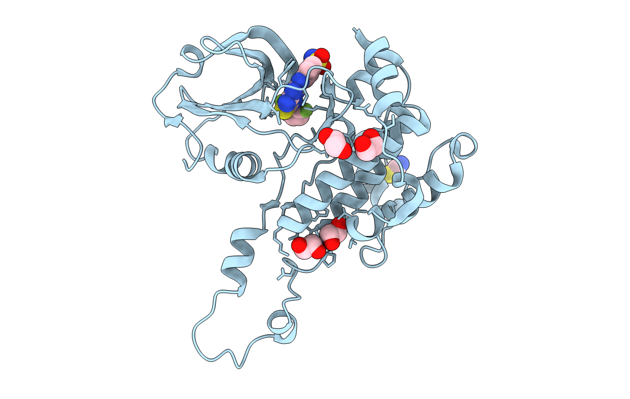 2J51 image
