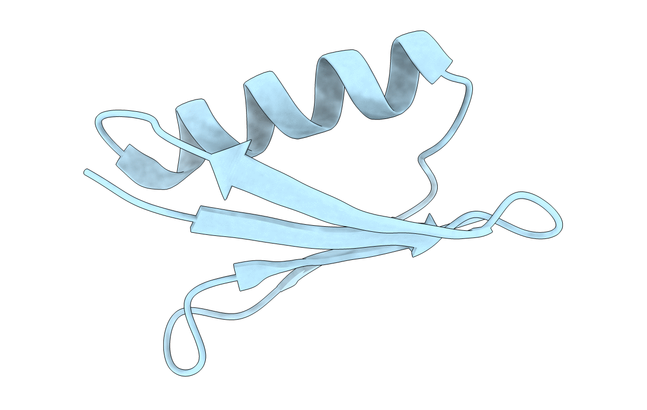 2J52 image