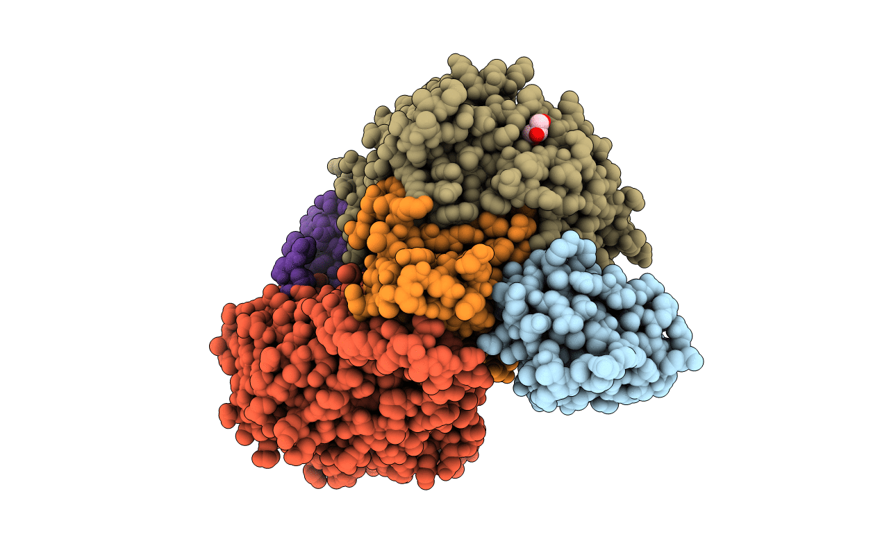 2J55 image
