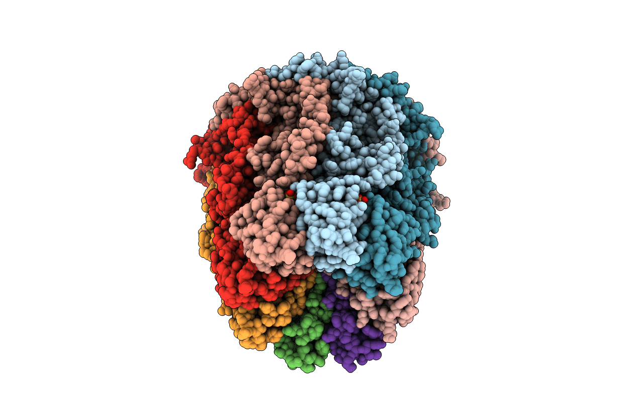 2J58 image