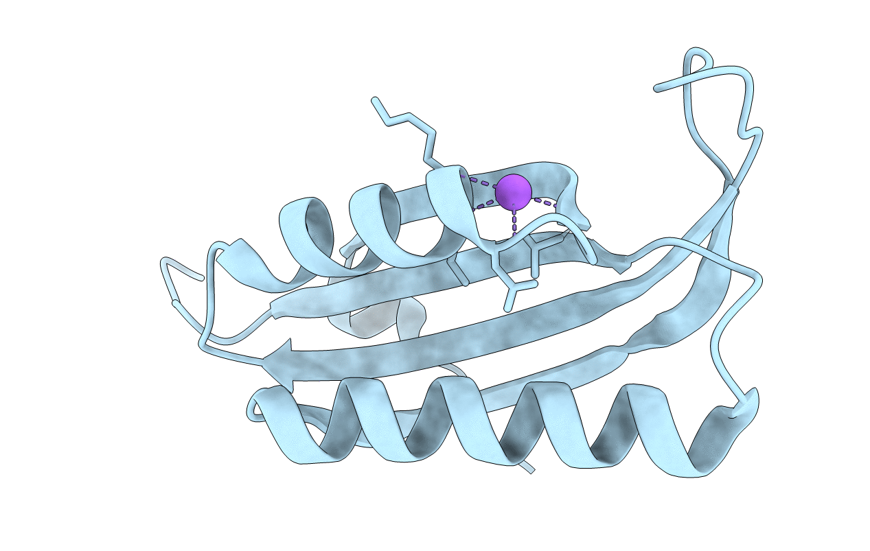 2J5A image
