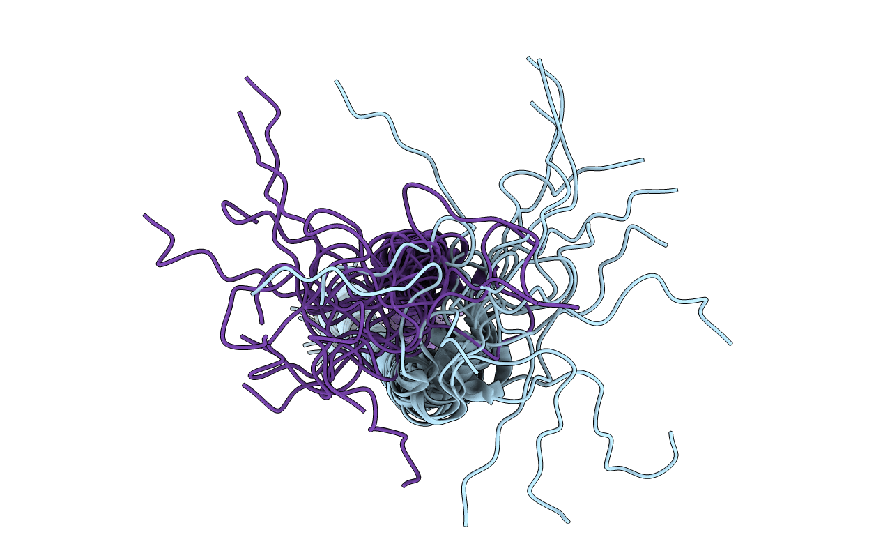 2J5D image