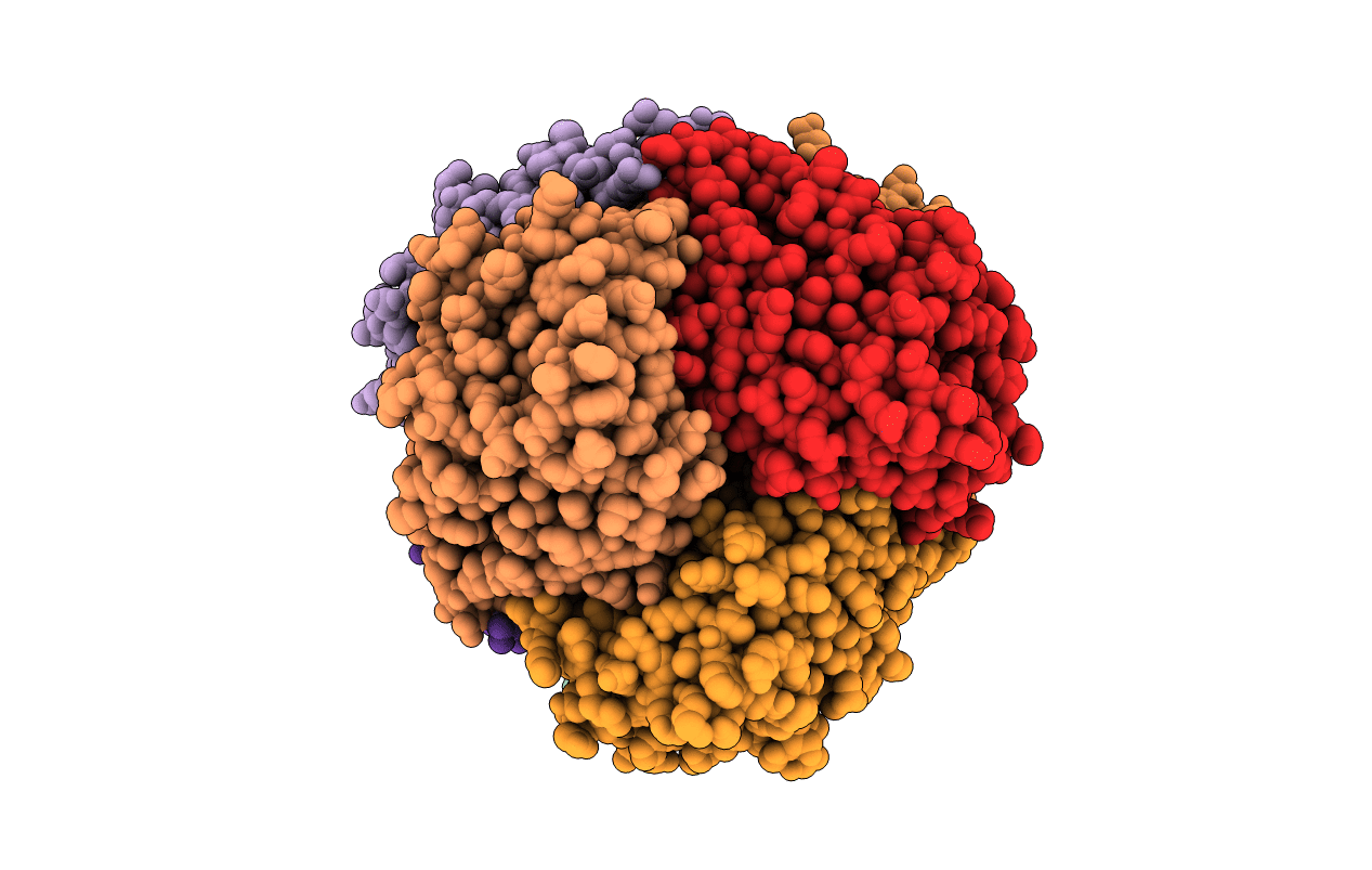 2J5G image