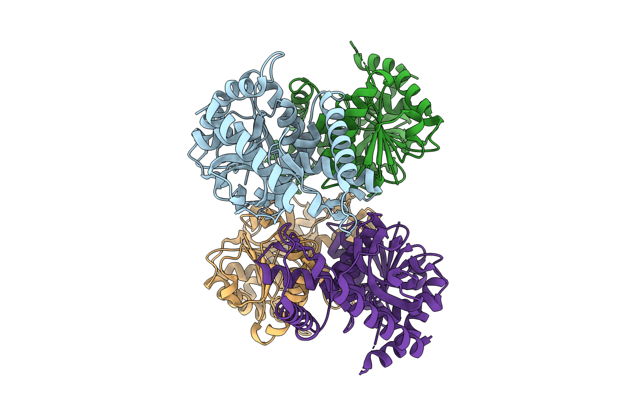 2J5K image