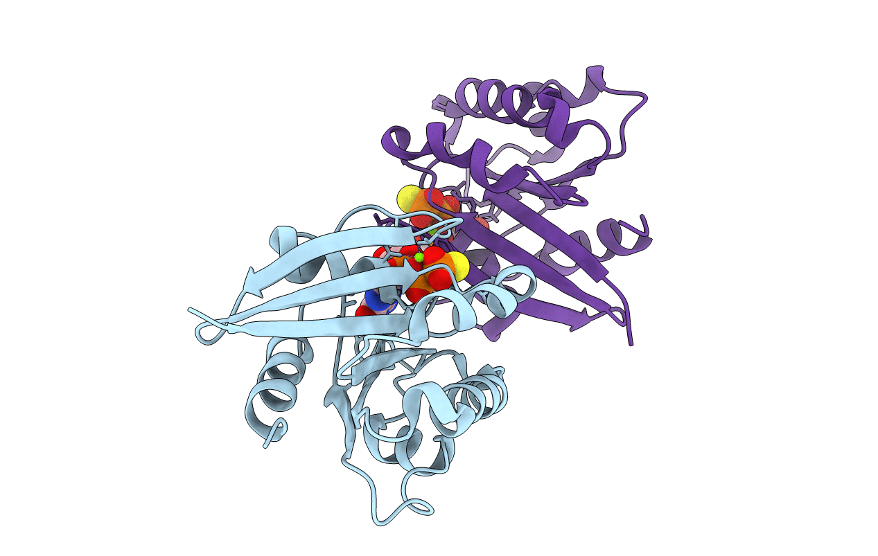 2J5X image