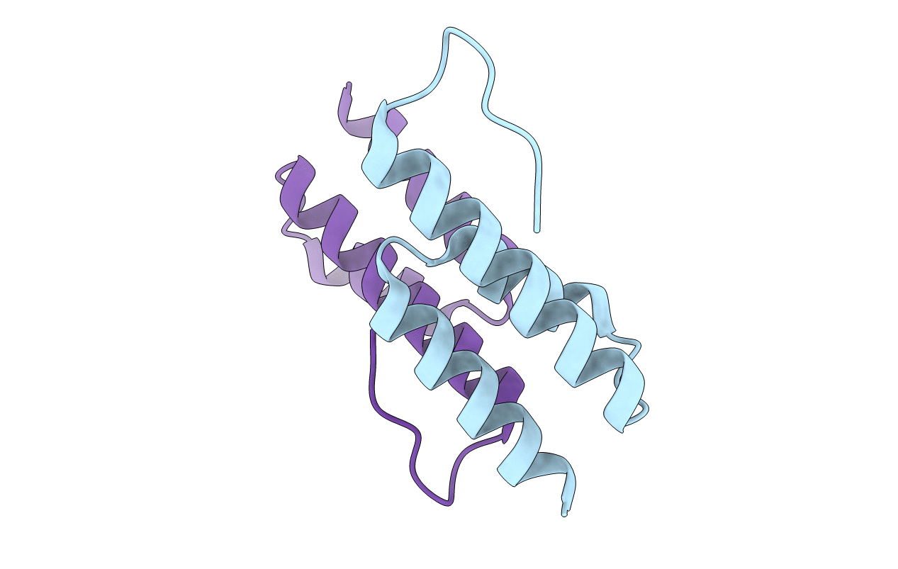 2J5Y image