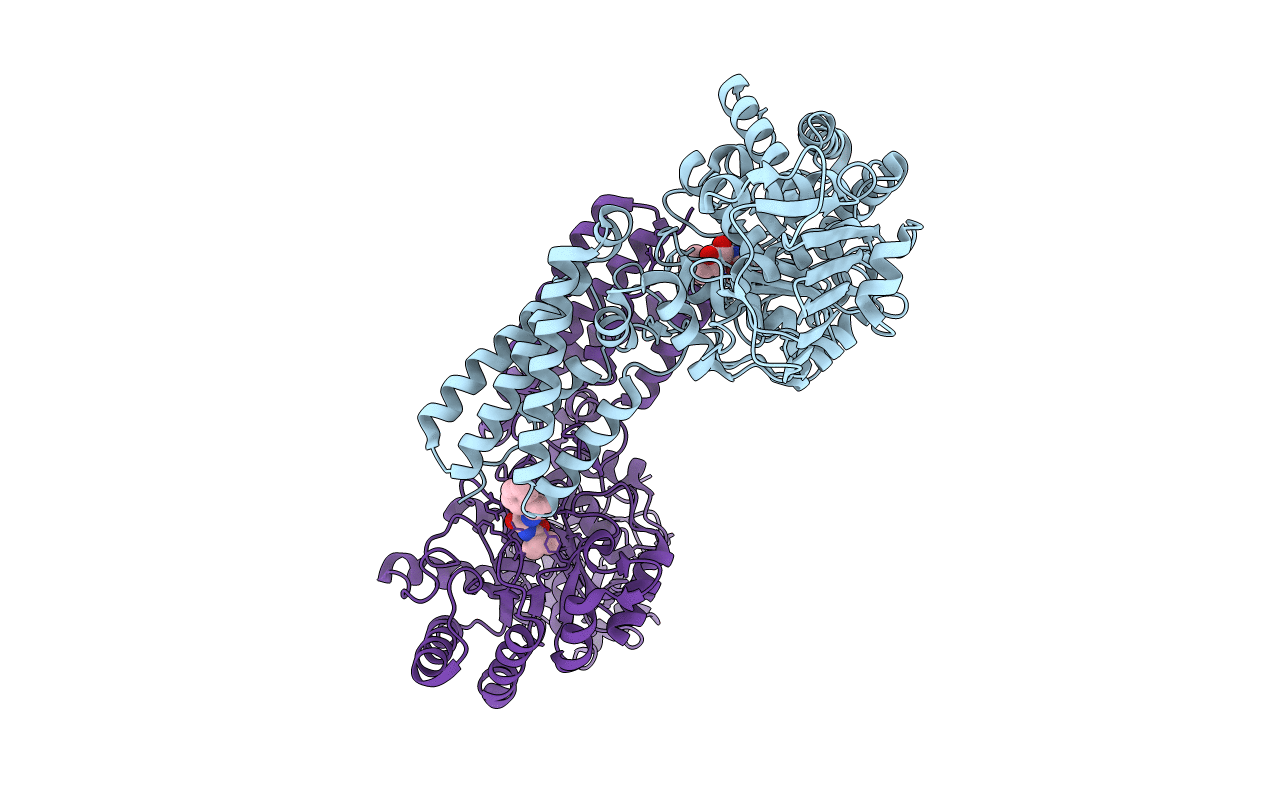 2J62 image