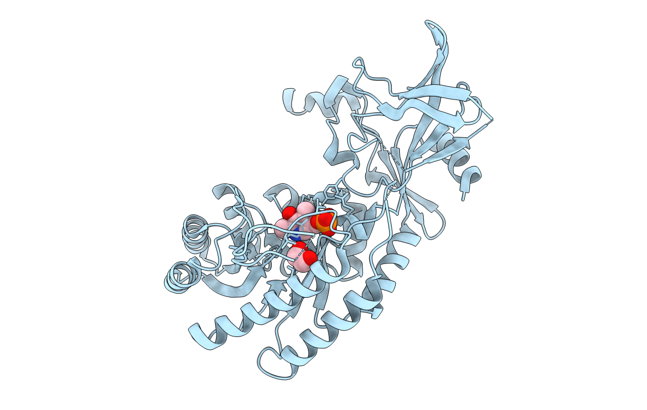 2J66 image