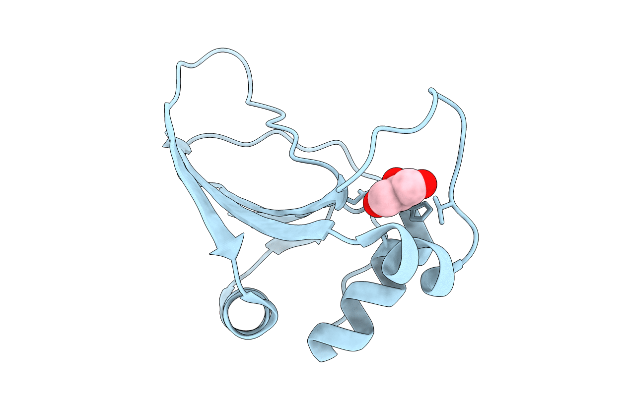 2J6C image