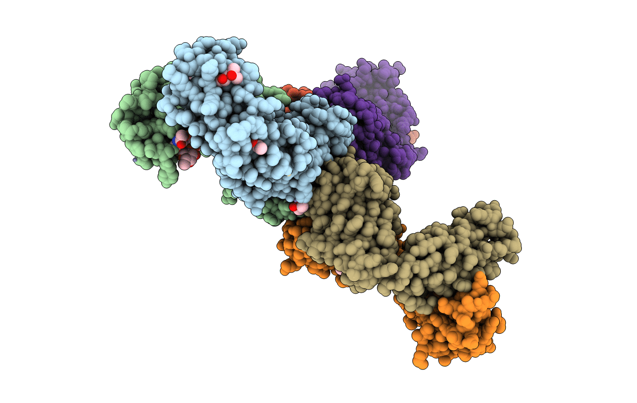 2J6E image