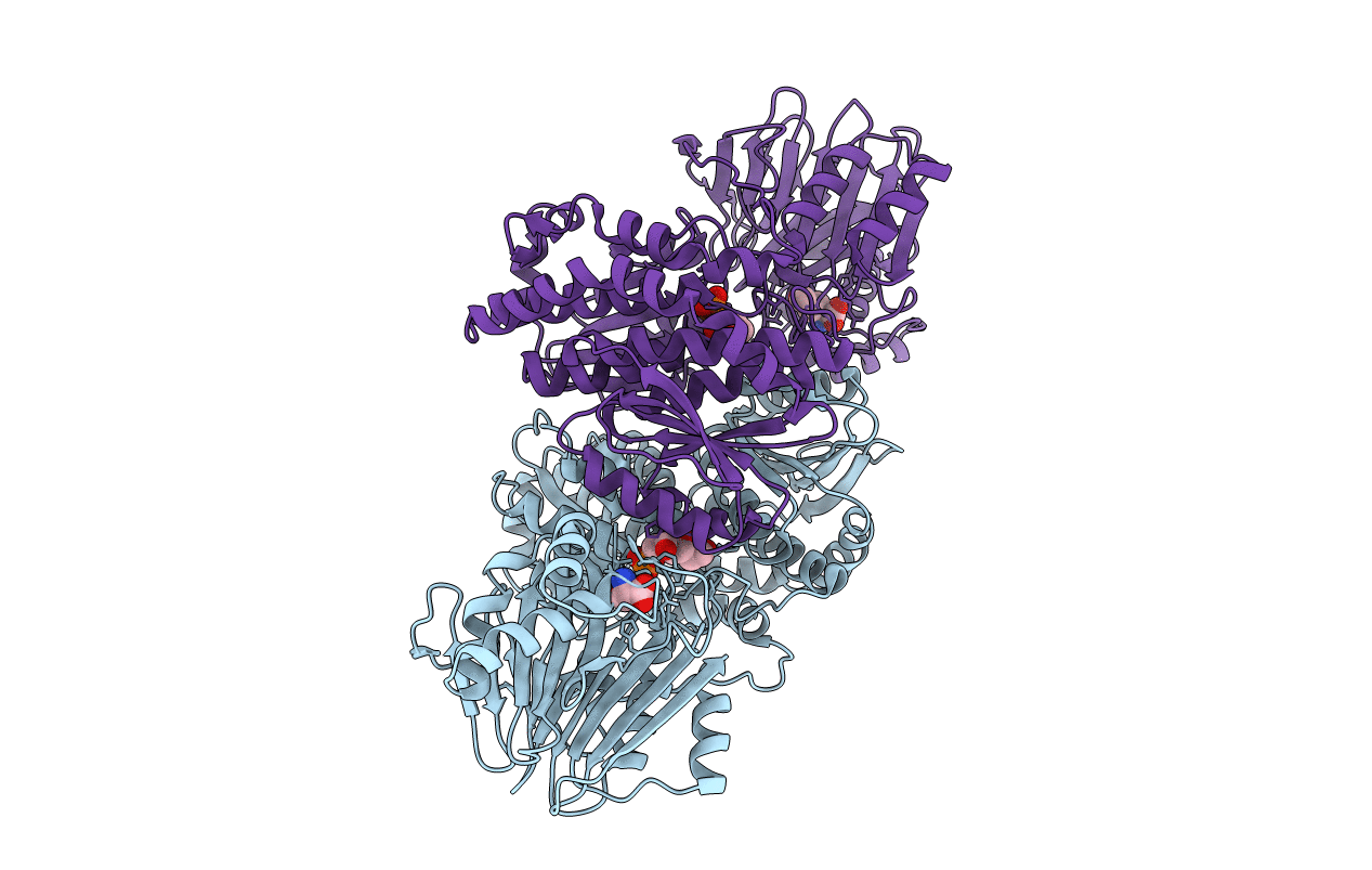 2J6H image