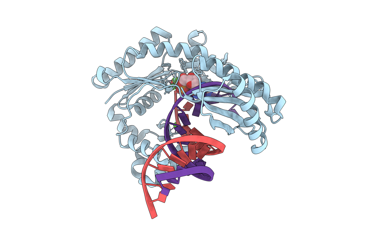 2J6S image