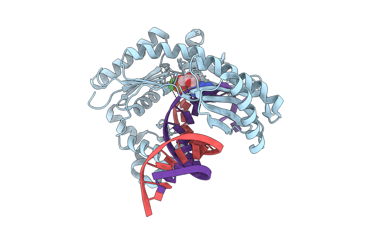 2J6U image
