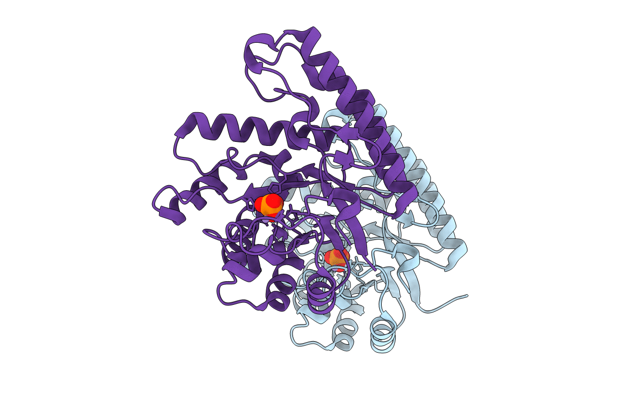 2J6V image