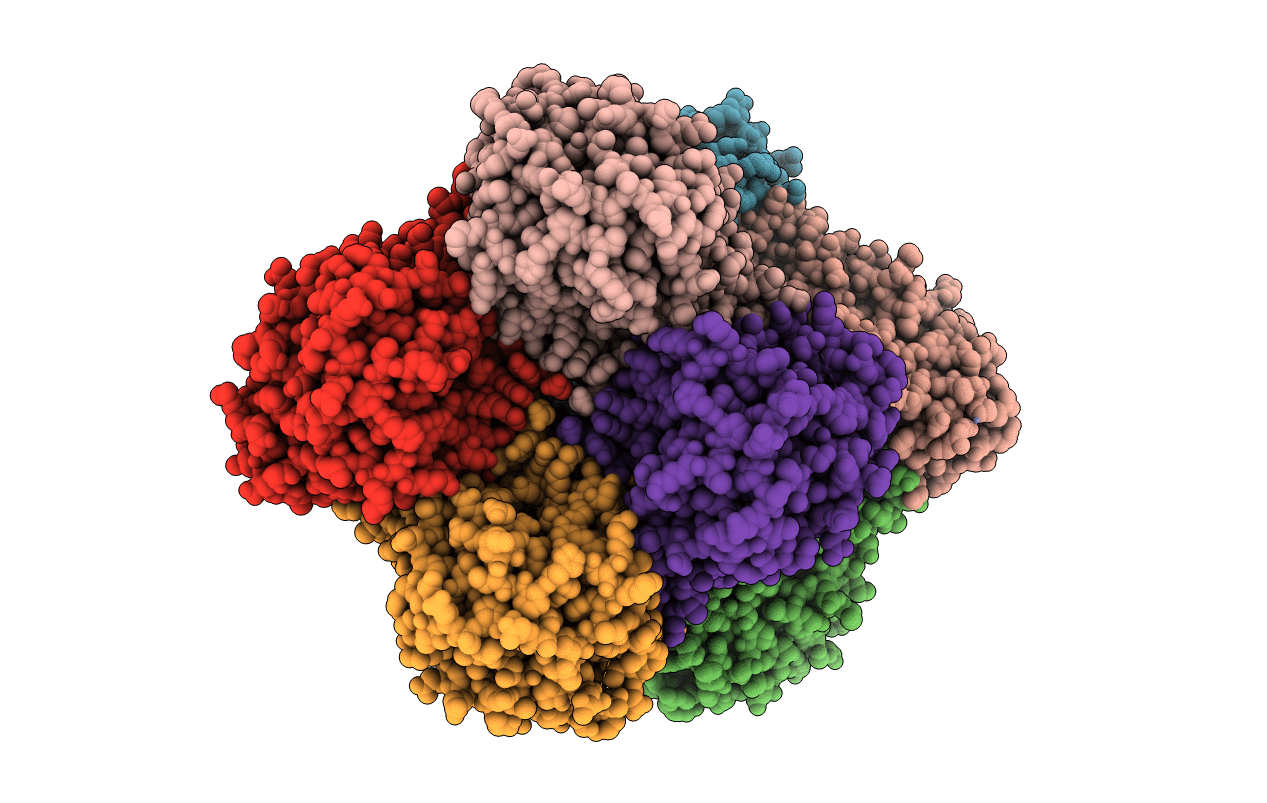 2J6X image