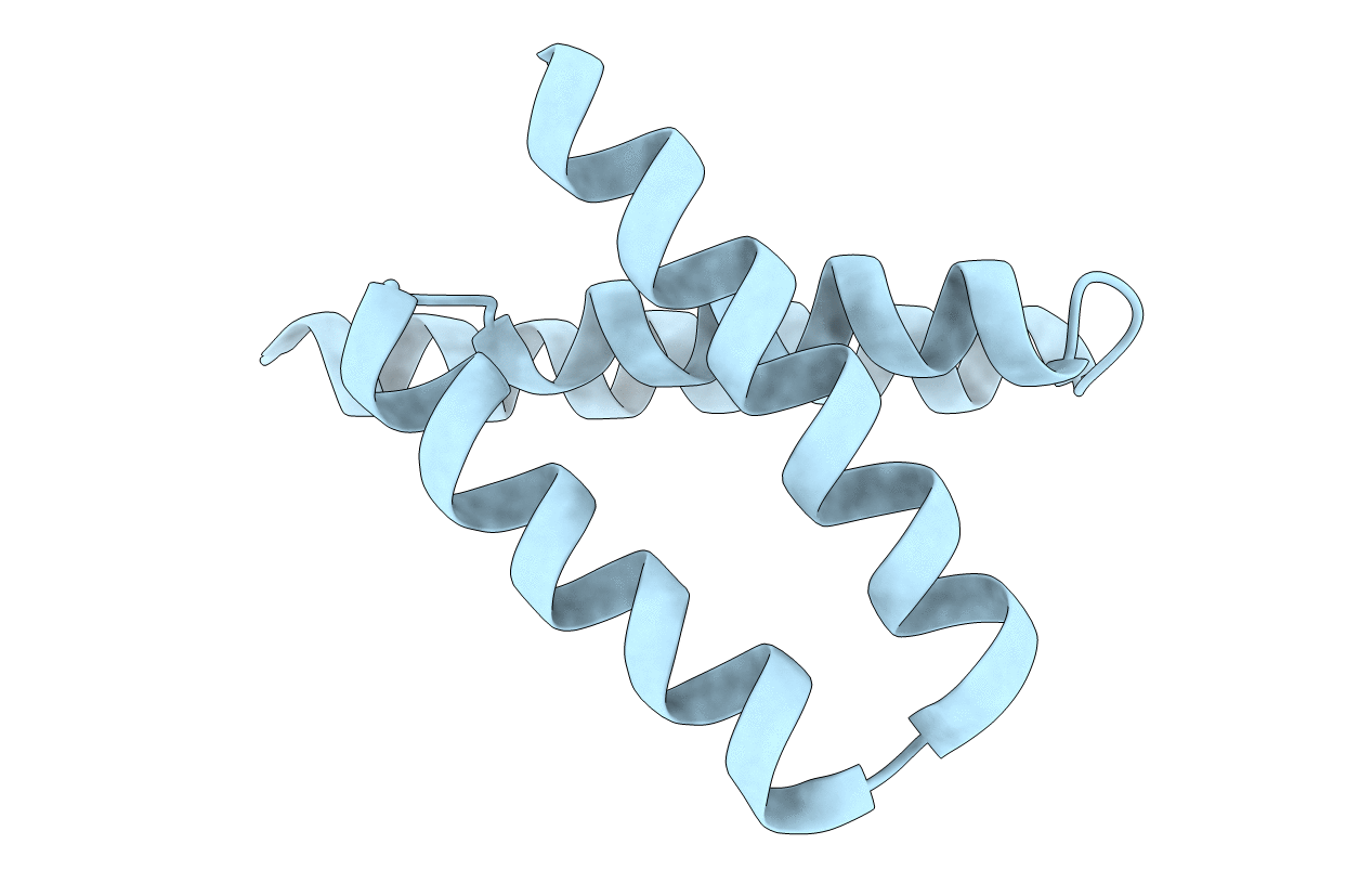 2J6Z image