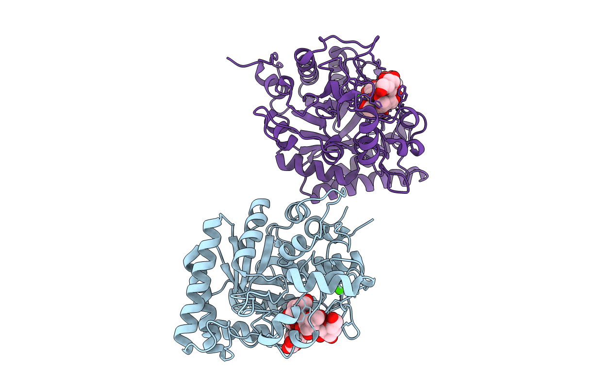 2J74 image
