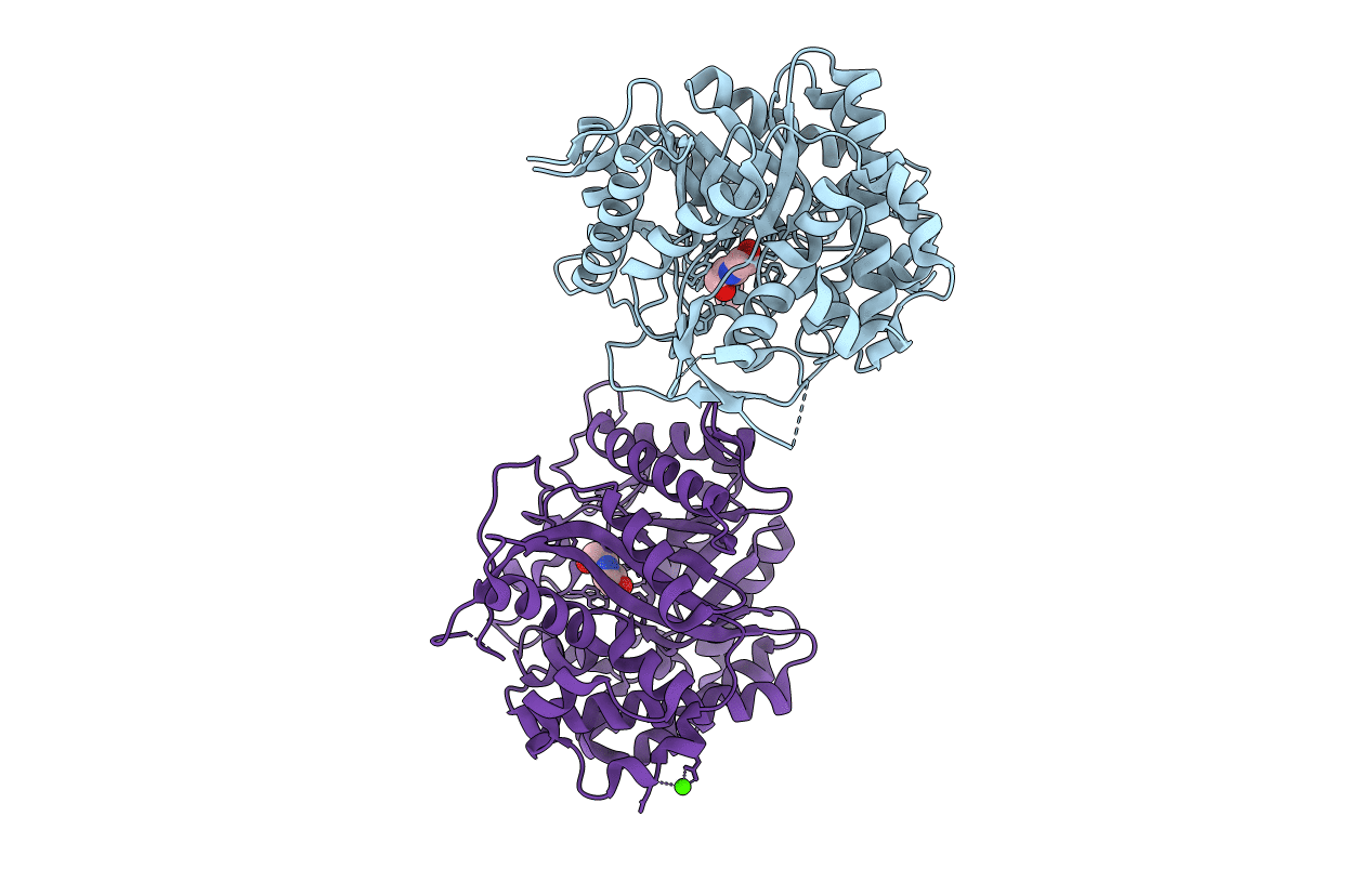 2J77 image