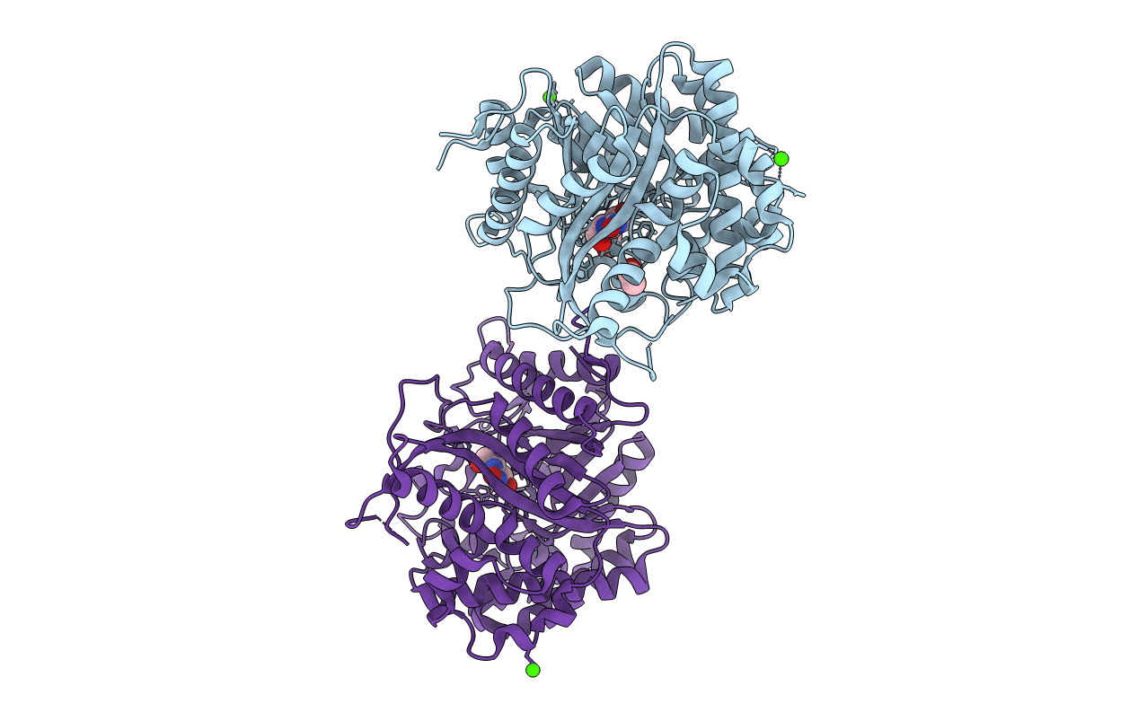 2J78 image