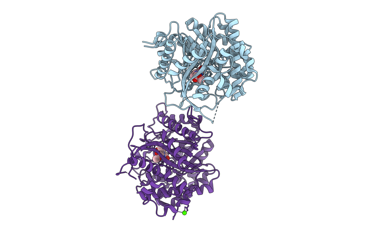 2J7D image