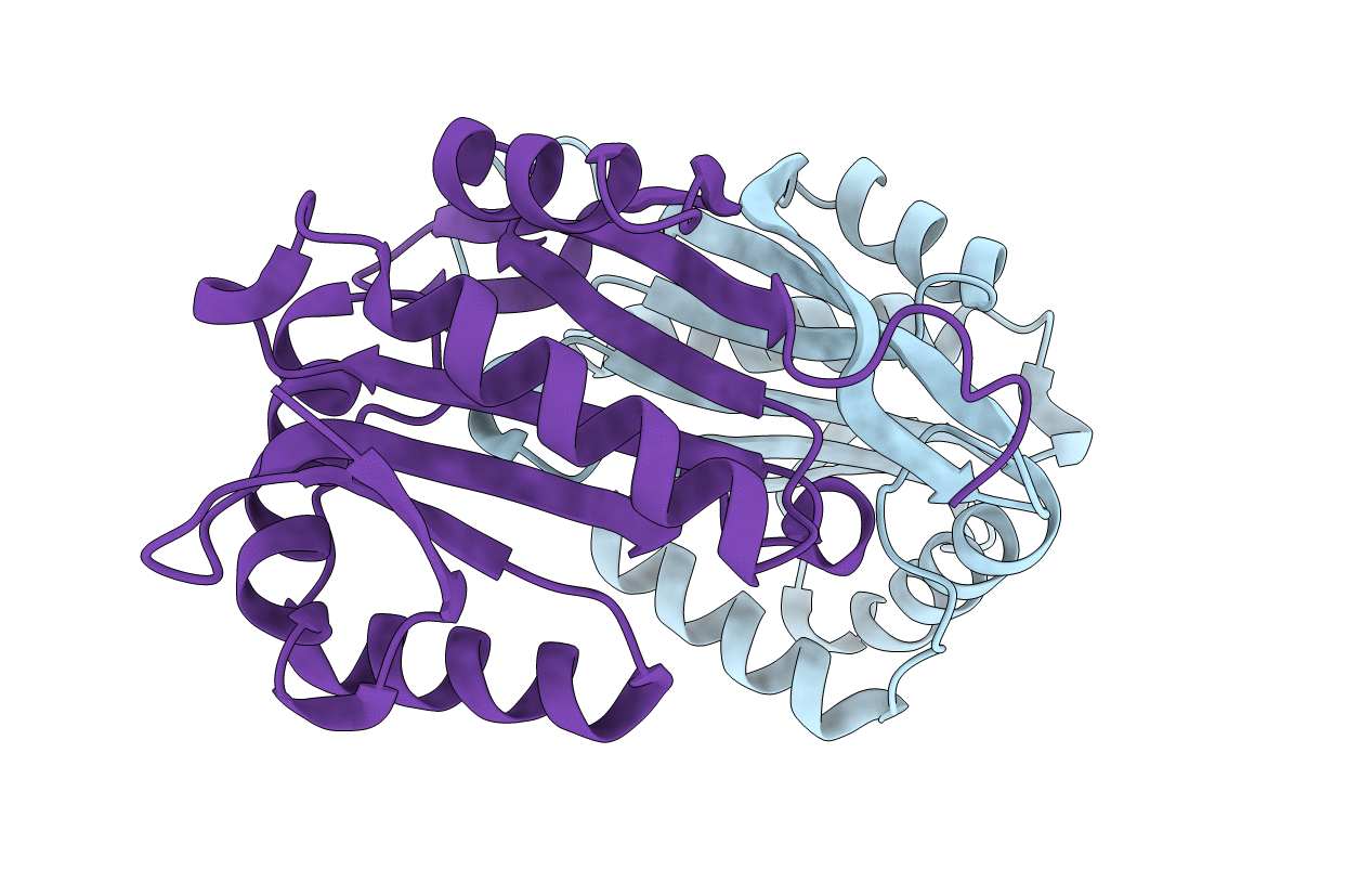 2J8N image