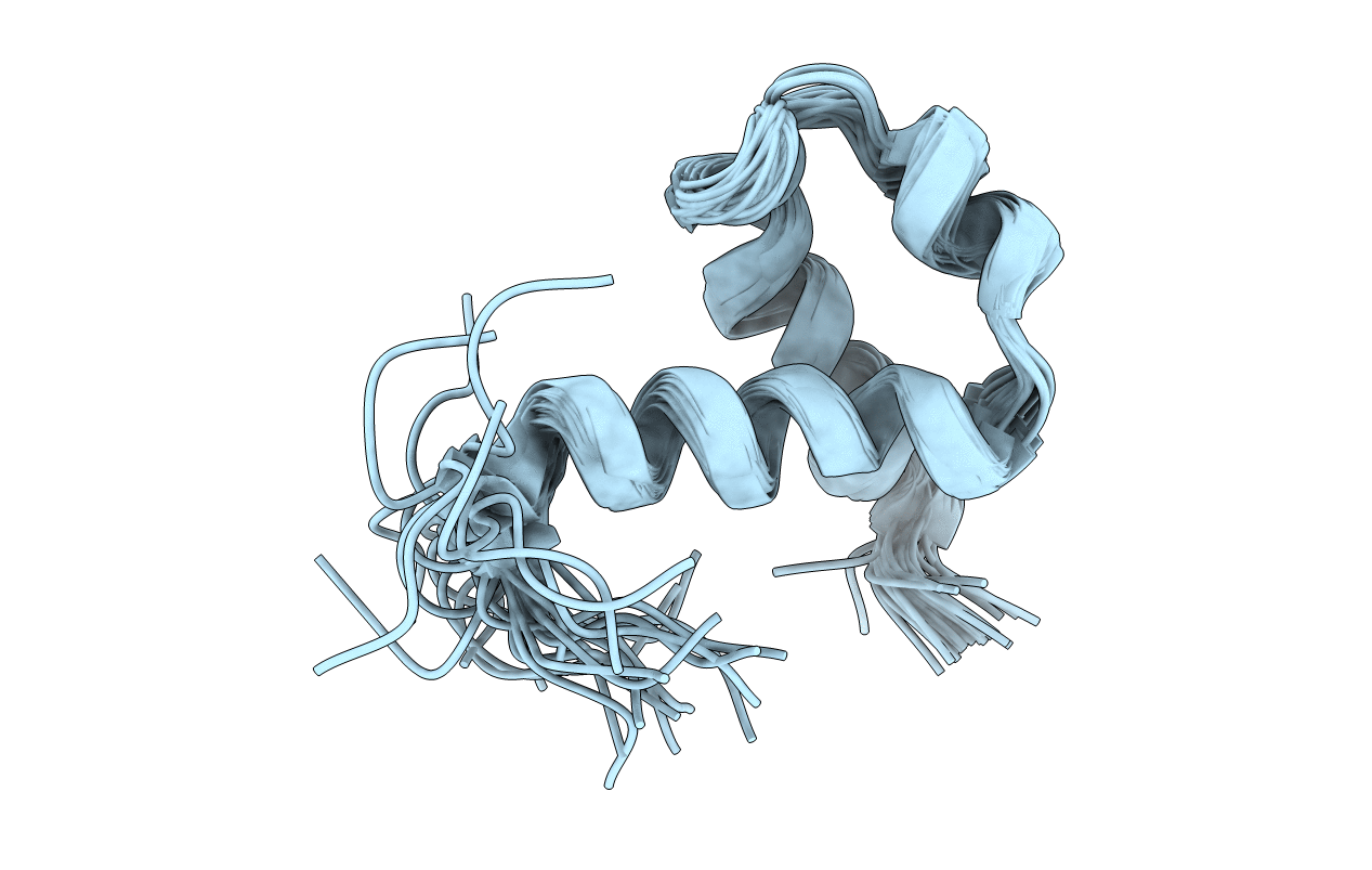 2J8P image