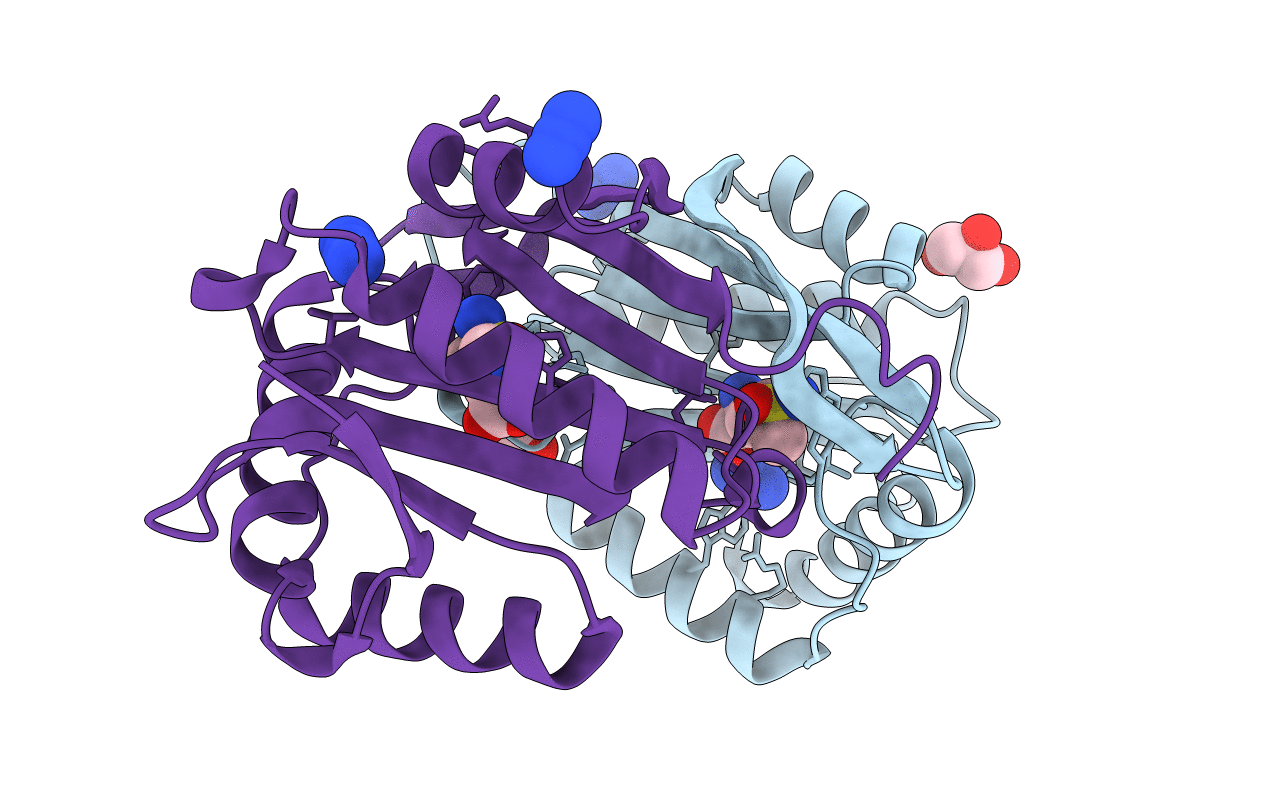 2J8R image