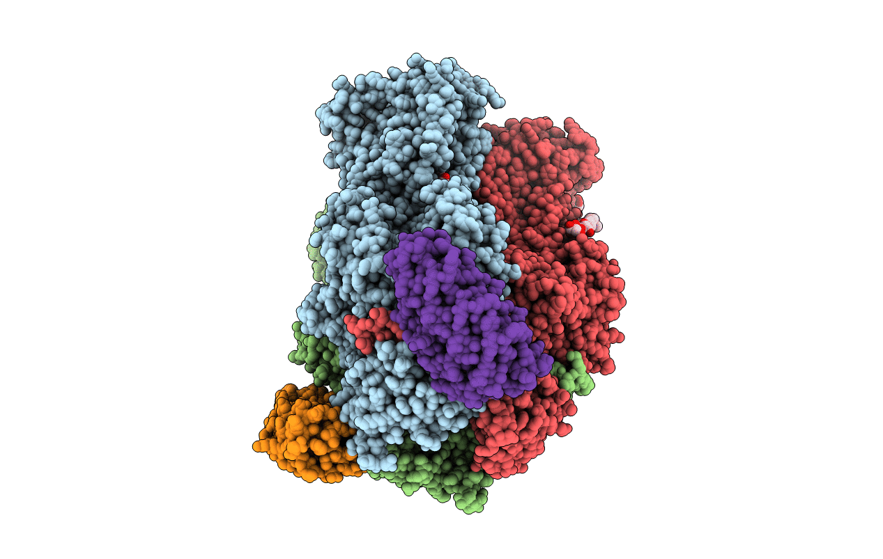 2J8S image