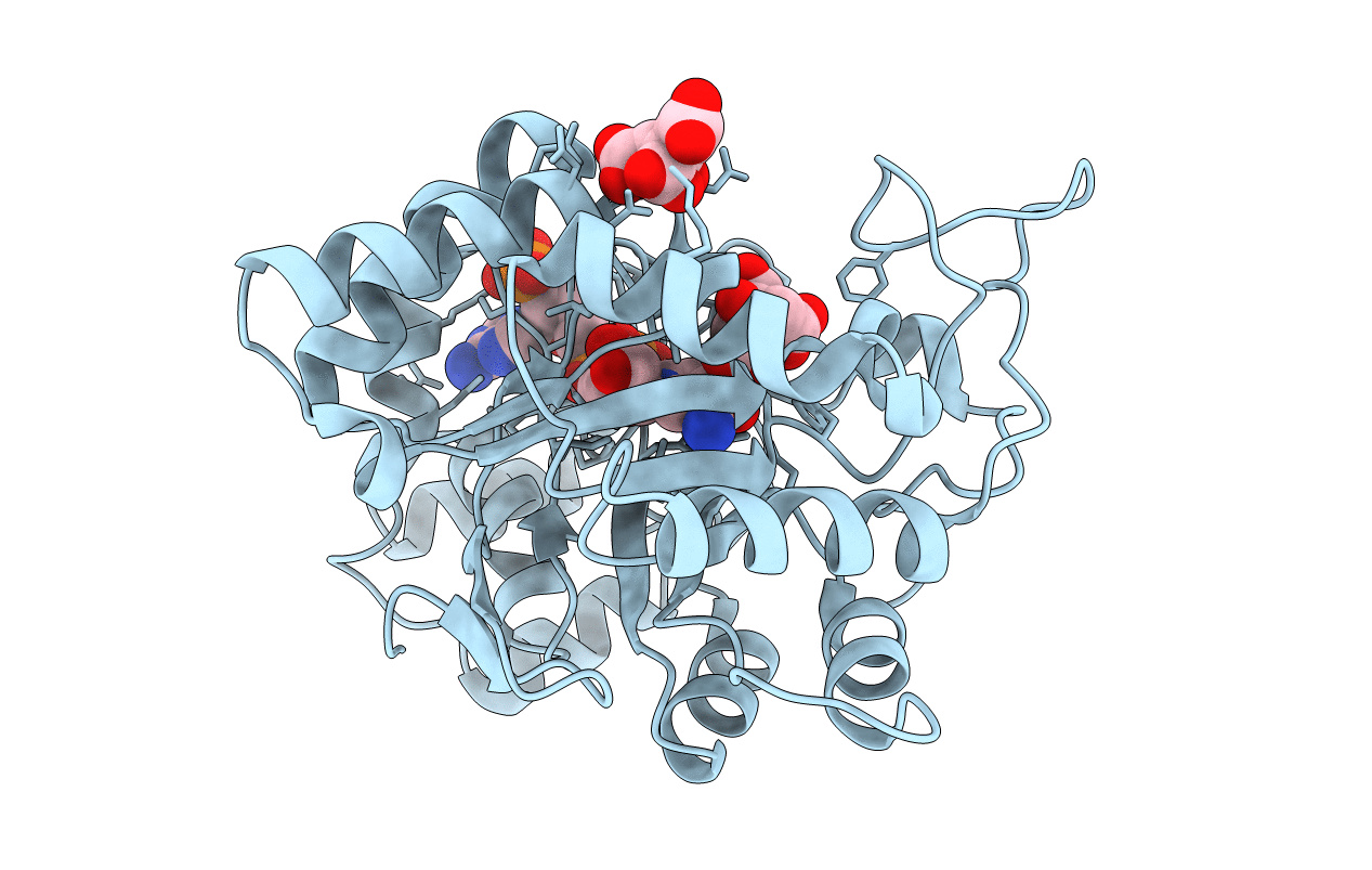 2J8T image