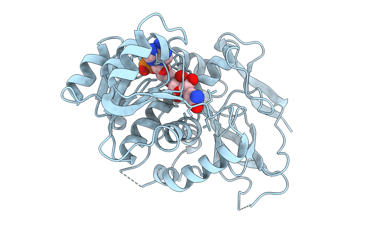 2J8Z image